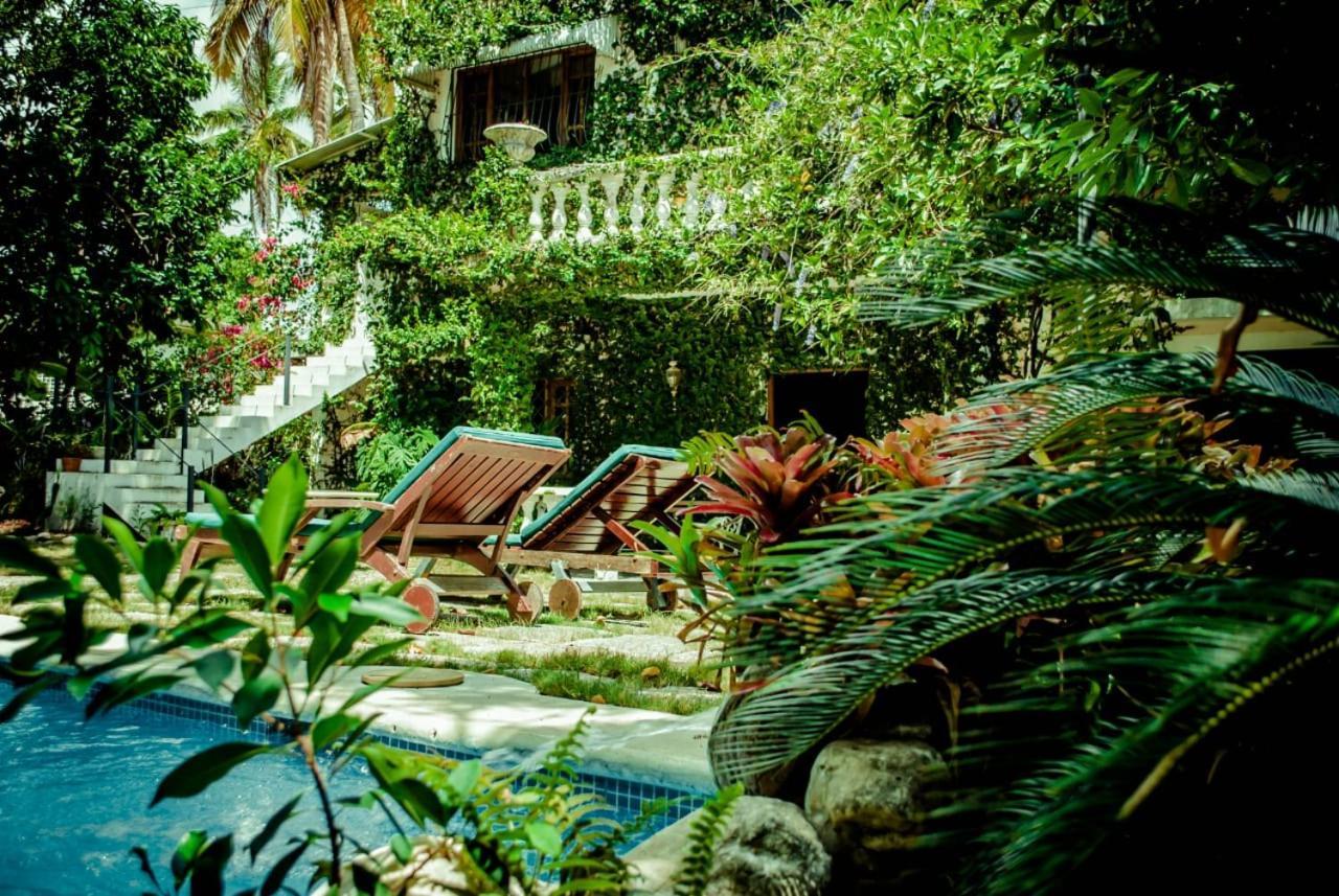 Villa Carolina Bed And Breakfast Puerto Plata Екстериор снимка