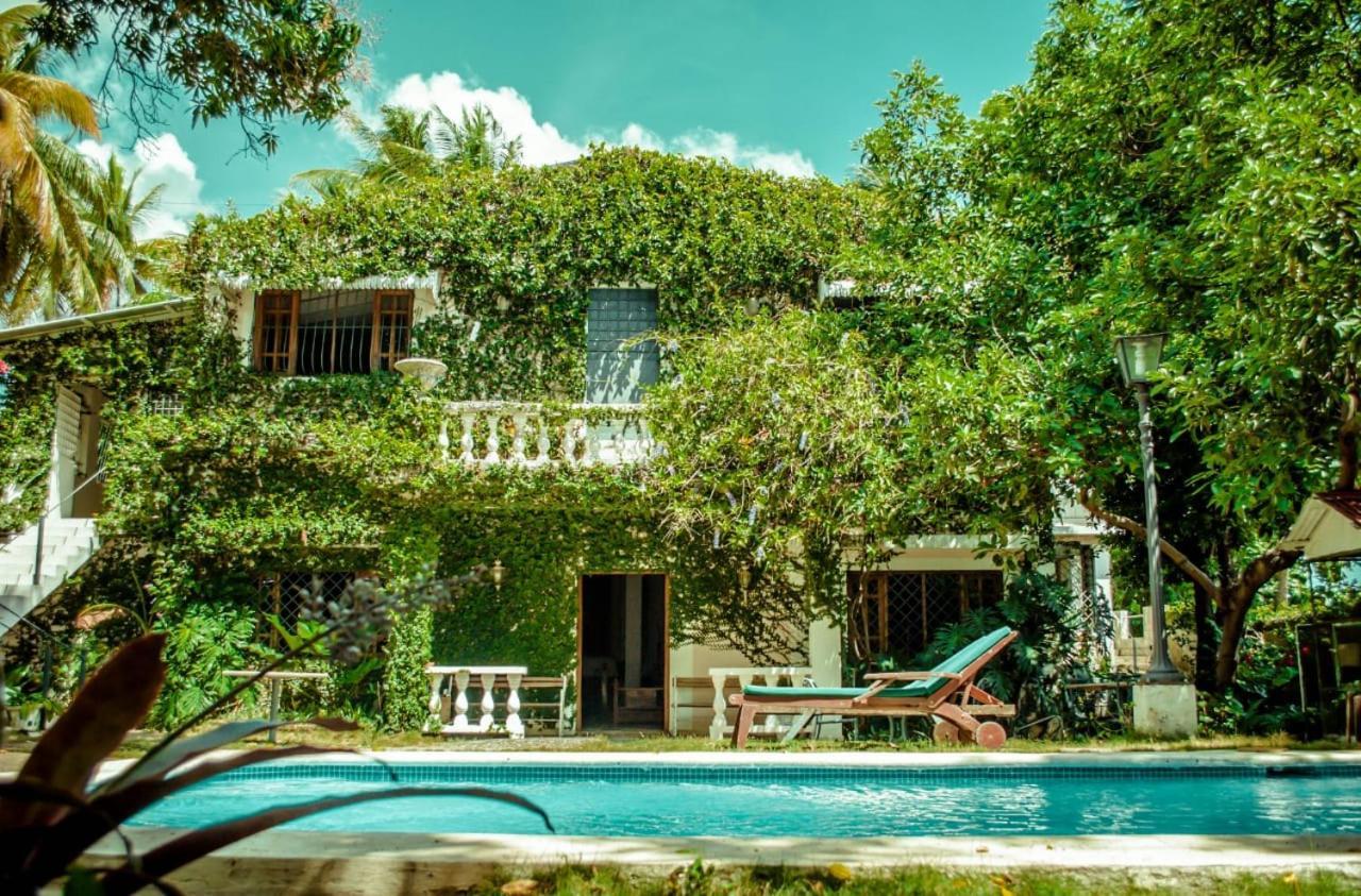Villa Carolina Bed And Breakfast Puerto Plata Екстериор снимка