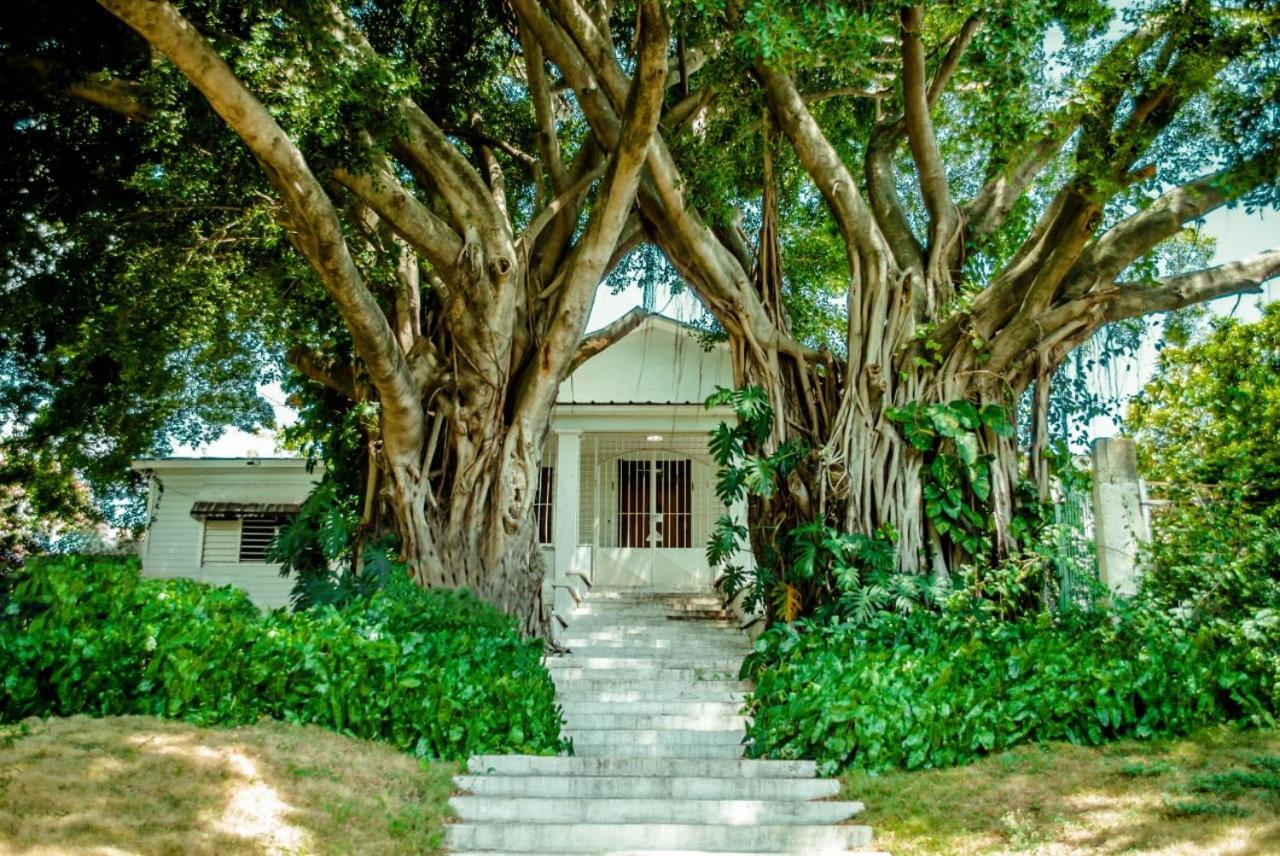 Villa Carolina Bed And Breakfast Puerto Plata Екстериор снимка