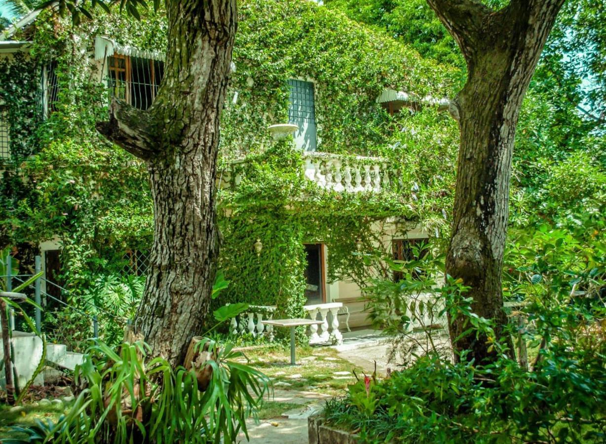Villa Carolina Bed And Breakfast Puerto Plata Екстериор снимка