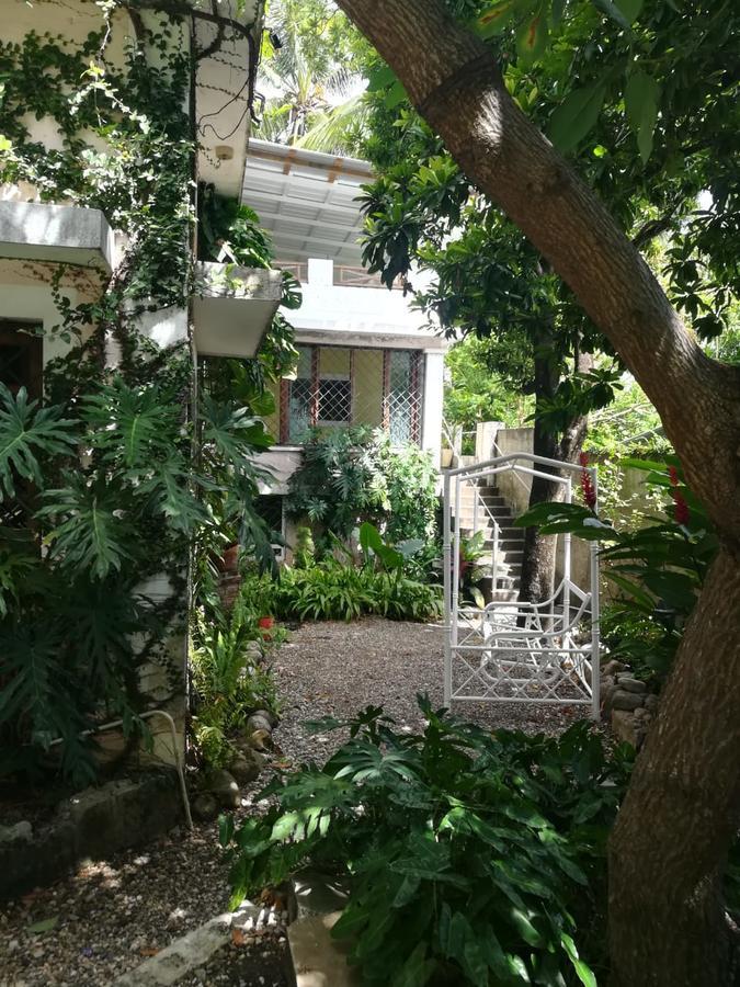 Villa Carolina Bed And Breakfast Puerto Plata Екстериор снимка