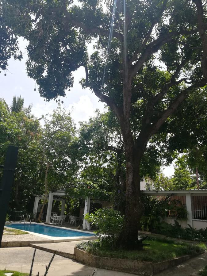 Villa Carolina Bed And Breakfast Puerto Plata Екстериор снимка