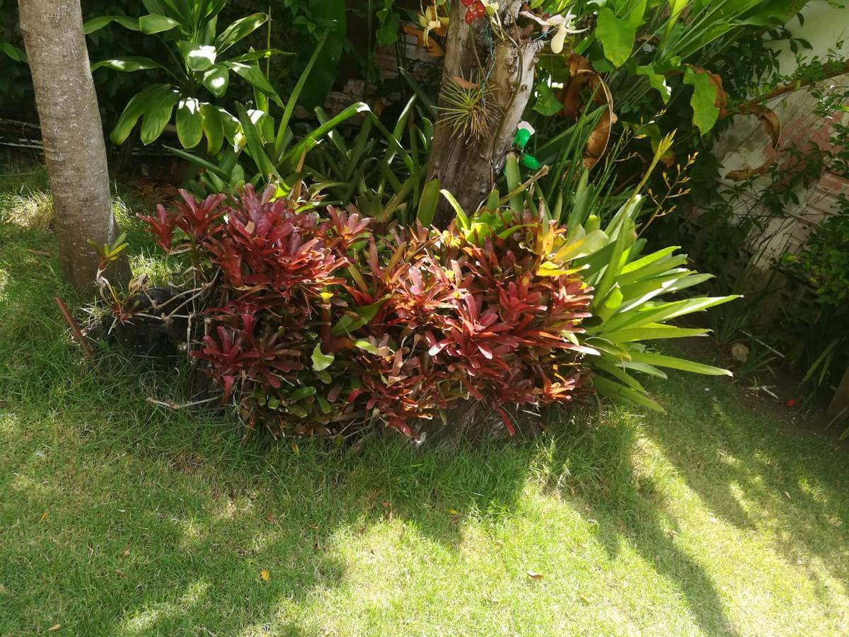 Villa Carolina Bed And Breakfast Puerto Plata Екстериор снимка