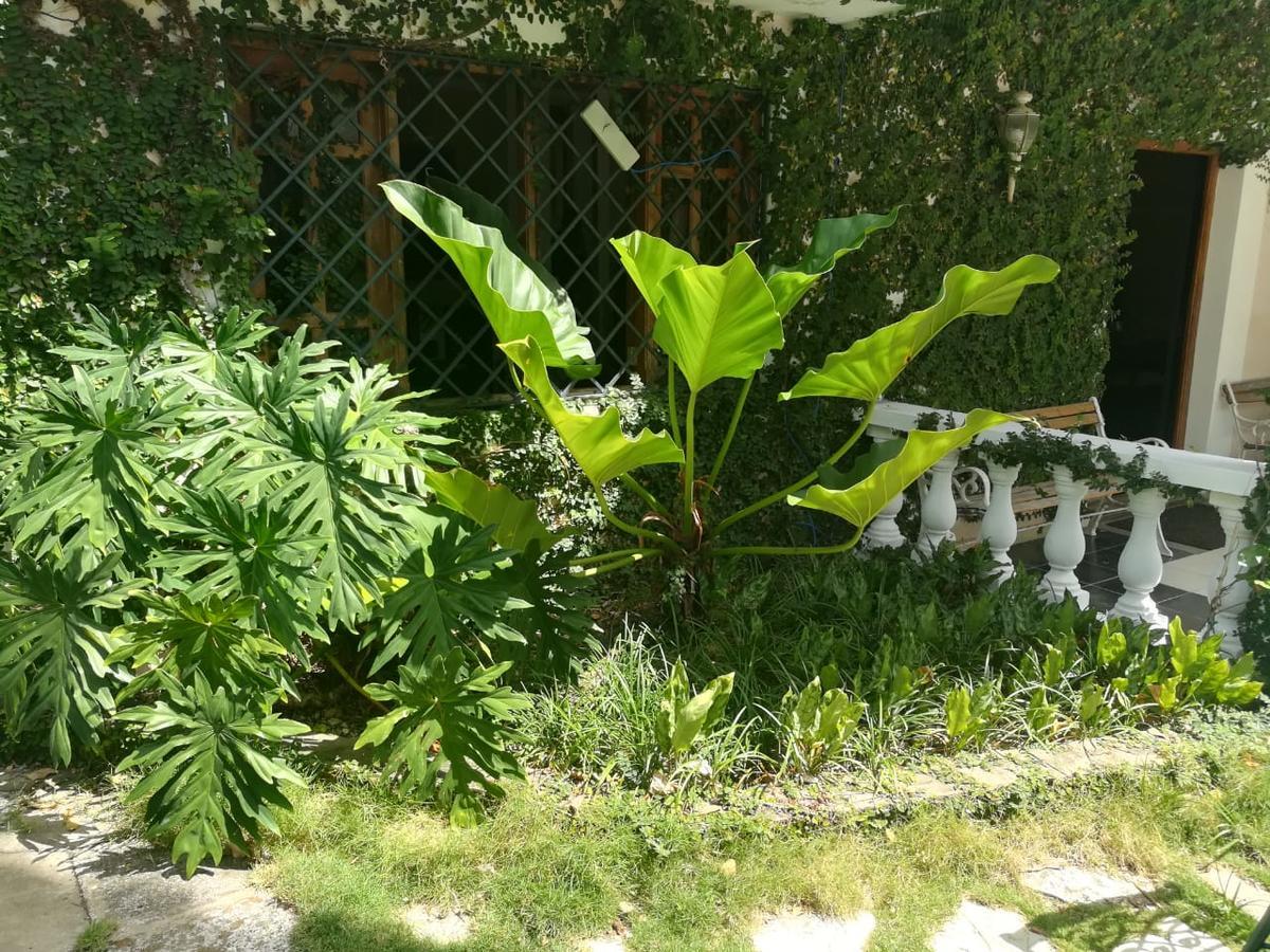 Villa Carolina Bed And Breakfast Puerto Plata Екстериор снимка